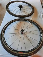 Laufradsatz 28" Fulcrum Racing-Quattro Rennrad Sachsen - Treuen Vorschau