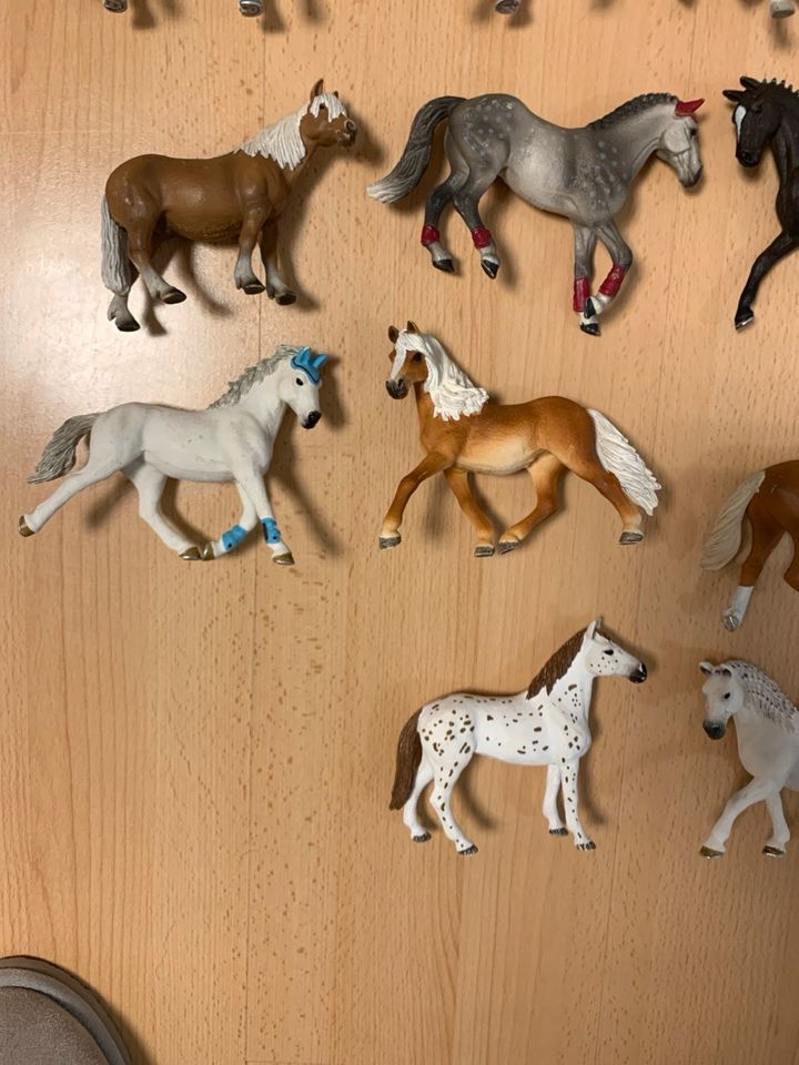 Schleich Pferde in Frankfurt am Main