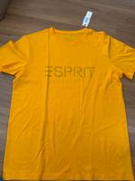 Esprit T Shirt Herren Berlin - Mitte Vorschau