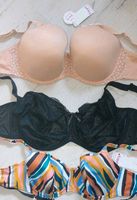 Bikini BH neu freya elomi 75H 70H Schleswig-Holstein - Böklund Vorschau