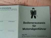 Lehrgang Motorsägen Sachsen-Anhalt - Muldestausee Vorschau