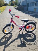 Kinderfahrrad Sachsen - Weischlitz Vorschau