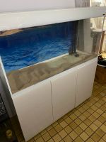 Aquarium komplett. 120x40x60 Nordrhein-Westfalen - Overath Vorschau