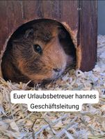 Ab sofort Urlaubsbetreuung Für Meerschweinchen Niedersachsen - Lastrup Vorschau