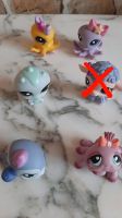 Littlest Pet Shop Figuren Berlin - Hellersdorf Vorschau