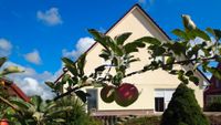 ***Mehrfamilienhaus mit großem Garten in bester Lage - voll vermietet*** Parchim - Landkreis - Parchim Vorschau