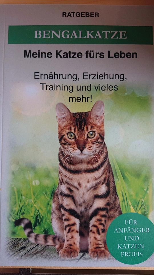 Ratgeber: Bengalkatze meine Katze fürs Leben in Buch