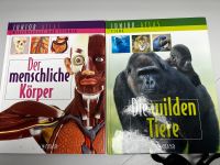 Kinderbücher 2er Set Thüringen - Kölleda Vorschau