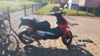 Gilera Runner 125 VX  Malossi Rheinland-Pfalz - Urmitz Vorschau