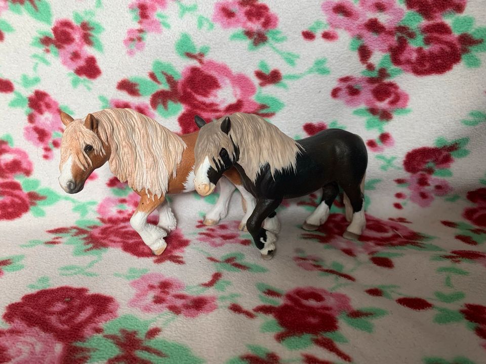 Diverse Schleich Pferde Repaint in Wettenberg