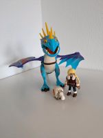 Playmobil 70728 Dragons Astrid und Strumpfeil Baden-Württemberg - Dettenhausen Vorschau