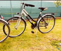 Fahrrad 28 zoll 7 Shimano Gang Nordrhein-Westfalen - Hürth Vorschau