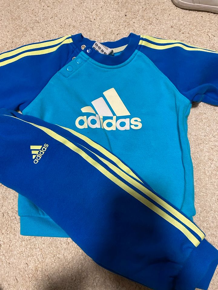 Adidas Jogginganzug Größe 74 blau in Bad Kötzting