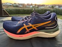 Asics Gel Cumulus 24 TR Neu Gr. 40 Laufschuh Damen Rheinland-Pfalz - Wittgert Vorschau