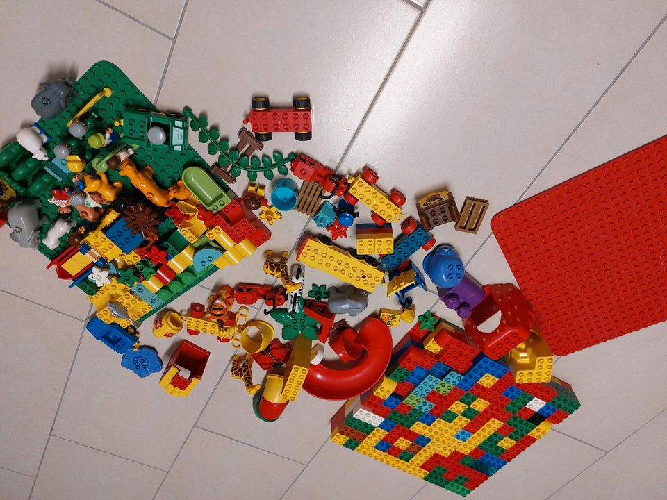 Grosses Lego Duplo Set ca. 350 Teile in Bischweier