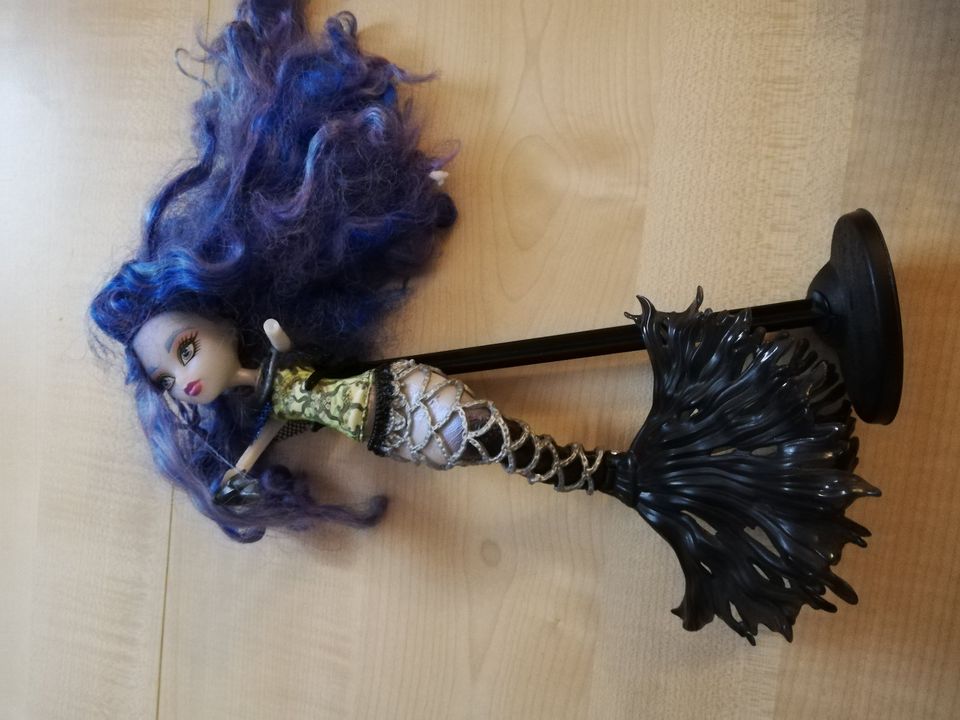 6 Monster High Puppen in Kalbsrieth