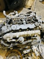 Peugeot Motor 2.0 HDI RHY 206 306 307 Partner Nordrhein-Westfalen - Soest Vorschau