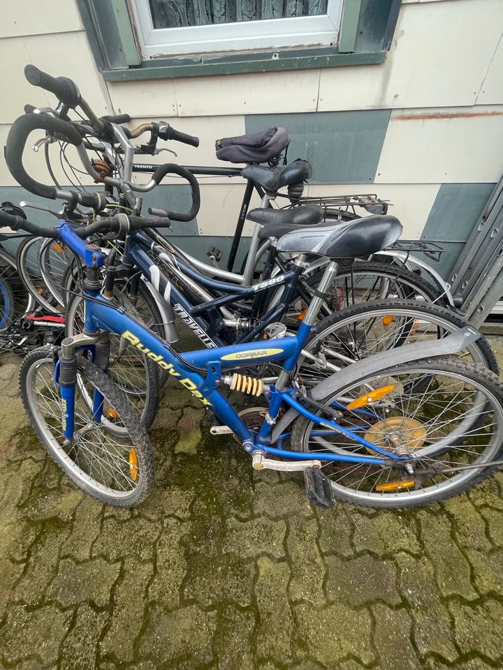 Kinder Damen Herren Fahrrad in Wolfenbüttel