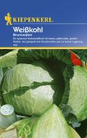 Kiepenkerl Weißkohl Brunswijker Gemüse Anbau Garten Sachsen - Striegistal Vorschau