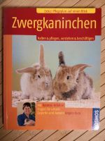 Zwergkaninchen halten pflegen verstehen / Buch Berlin - Lichtenberg Vorschau
