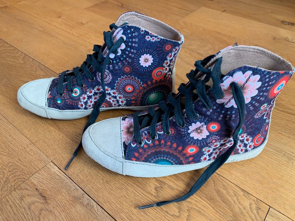 Desigual Schuhe Größe 38 in Bad Homburg