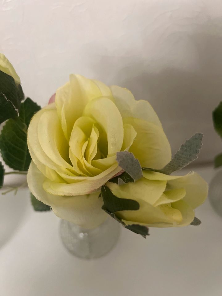 5 Rosen im Glasvasen ( künstlich Rosen ) / Neue in Kiel