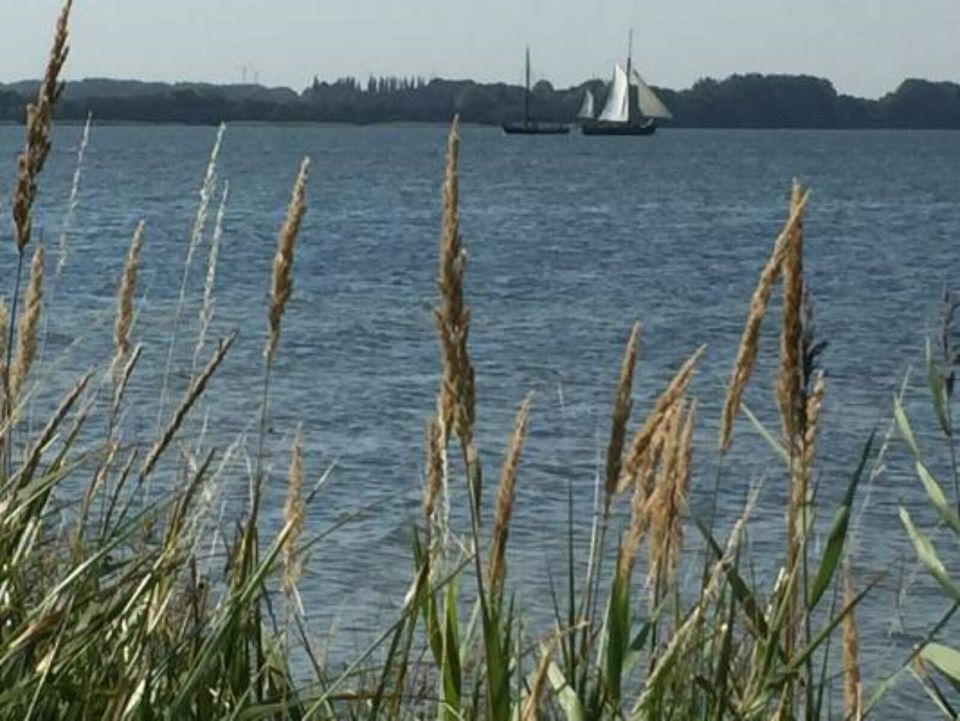 Ferienhaus am Strelasund, Rügen, 5 Pers, 3000m² Garten Hund Zaun in Poseritz