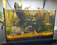 Aqua Scape komplett Set 20L Aquarium Baden-Württemberg - Münsingen Vorschau