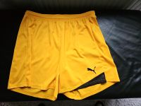 Puma Shorts Gelb Herren XXL Hessen - Wiesbaden Vorschau