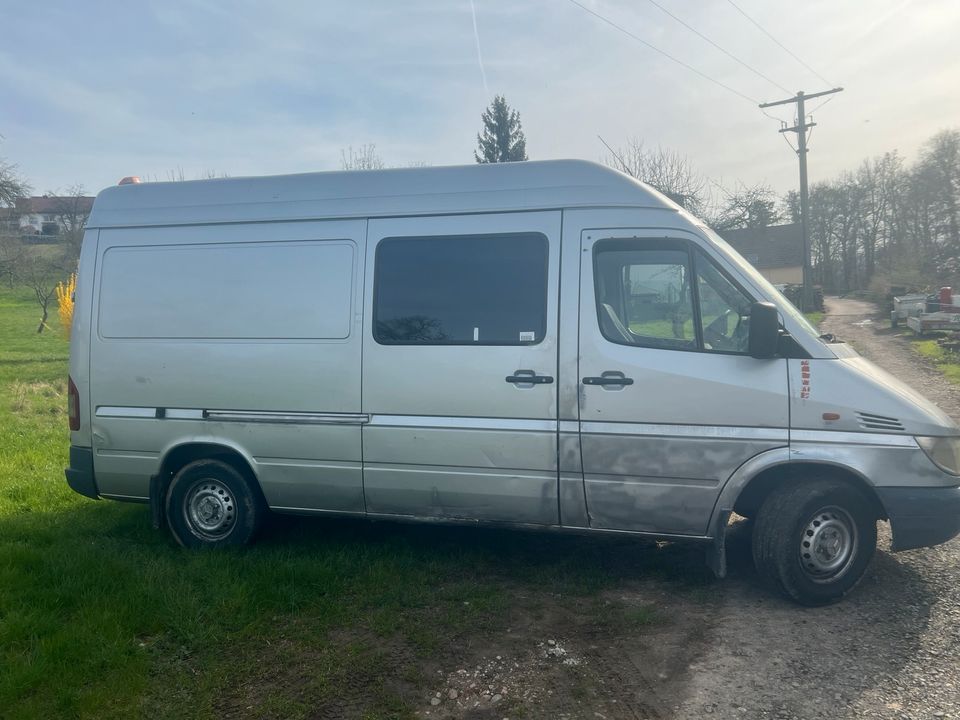 313 sprinter mercedes in Karlsruhe