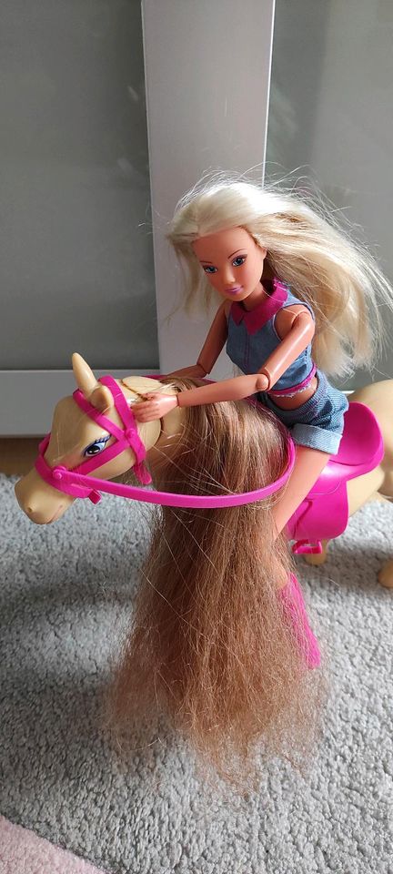 Barbie mit Pferd in Wehr