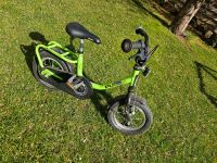 Puky 12 Zoll Fahrrad kinder grün Bayern - Pinzberg Vorschau