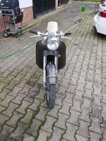 Kreidler florett k54 32DB Daun - Waldkönigen Vorschau