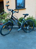 Damenfahrrad 19,5“ Westerwaldkreis - Kuhnhöfen Vorschau