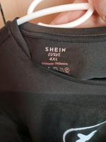 Shirt zu verkaufen Sachsen-Anhalt - Osterburg Vorschau