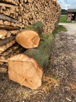 Lindenholz Stamm Linde Bayern - Hemau Vorschau