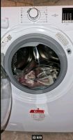 Waschmaschine Berlin - Hohenschönhausen Vorschau