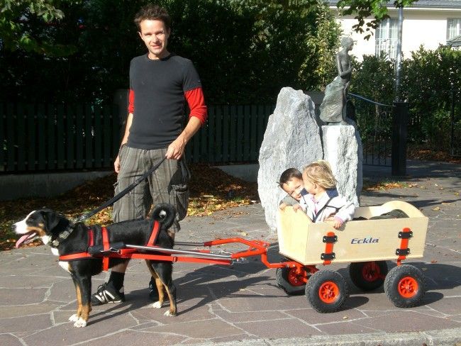 Hundewagen Komplett mit Geschirr, Bollerwagen, Anleitung 100 cm in Wallersdorf