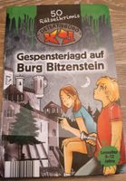 Gespensterjagd auf Burg Bitzenstein / 50 Rätselkrimis Schwerin - Weststadt Vorschau
