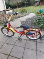 Puky 18 Zoll Fahrrad Rheinland-Pfalz - Insul Ahr Vorschau