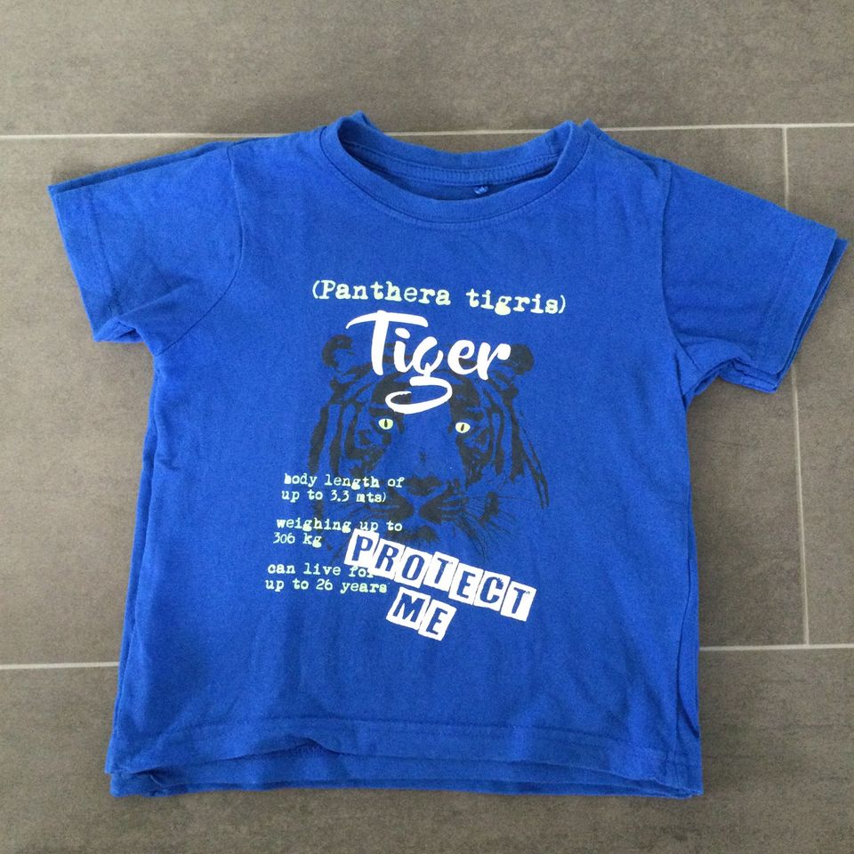 2 T Shirts Blue Seven, Tiger, Größe 92/98 Zwillinge? in Zickhusen