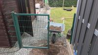 Gartenzauntor mit Pfosten zu verkaufen Niedersachsen - Geestland Vorschau
