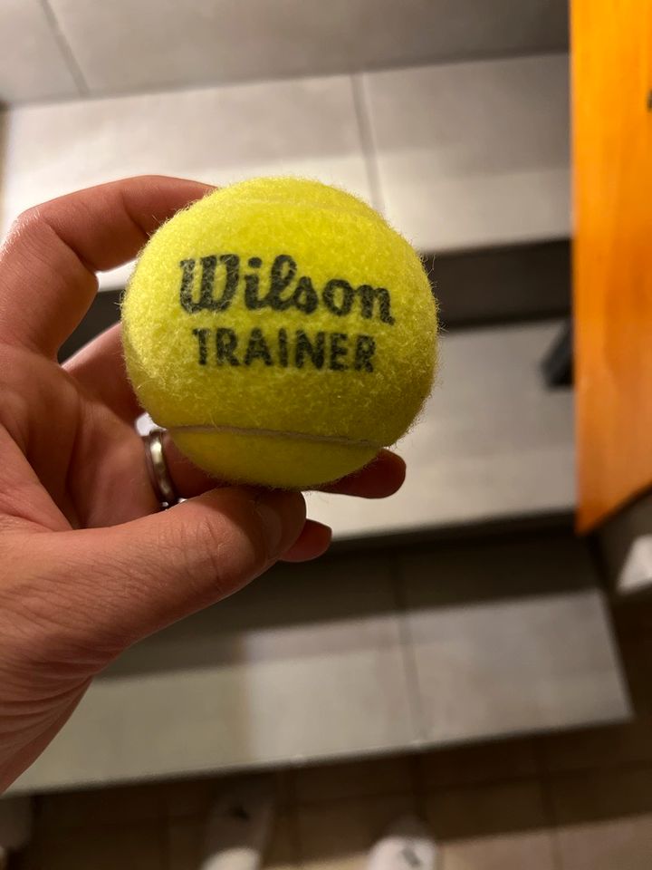 Wilson Training Tennisbälle 25 / 50 / 100 in Niedersachsen - Celle | eBay  Kleinanzeigen ist jetzt Kleinanzeigen