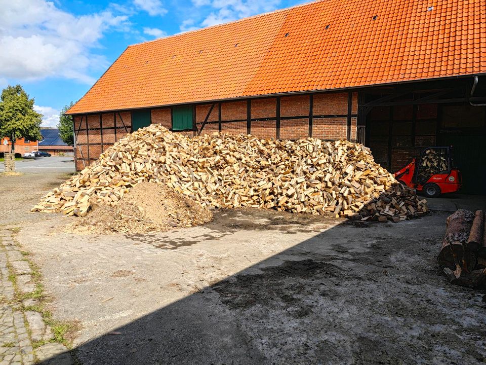 Brennholz, Kaminholz Buche in Gielde