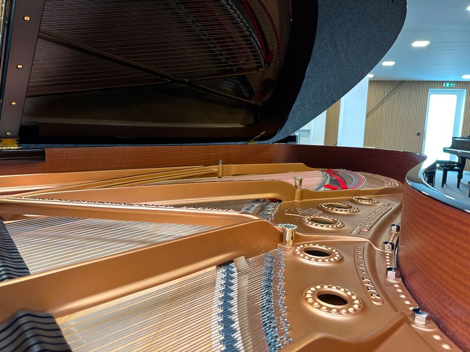 Steinway Flügel, Modell B-211, generalüberholt, 5 J. Garantie in Swisttal