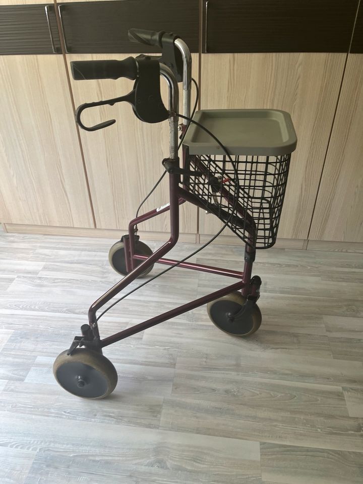 Kleiner schöner Rollator in Datteln