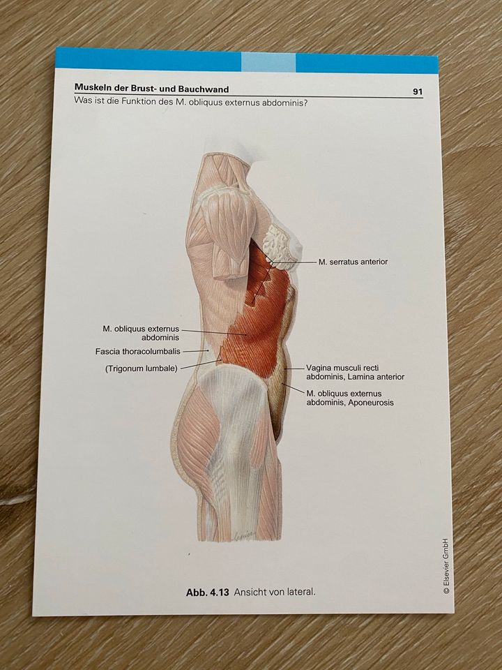 Anatomie Lernkarten in Frankfurt am Main