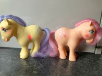 My Little Pony mein kleines Pony G1 Nordrhein-Westfalen - Südlohn Vorschau