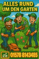 Hecken schneiden/ Rasenmähen/ Unkraut entfernen/ Gartenarbeit Thüringen - Erfurt Vorschau