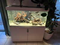 Aquarium Eheim Incpiria 400 mit Filter und Zubehör Nordrhein-Westfalen - Alfter Vorschau